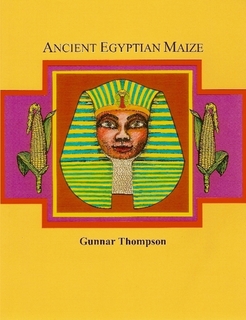 Ancient Egyptian Maize